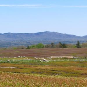 Clarry Hill Highlands (Photo courtesy Midcoast Conservancy)