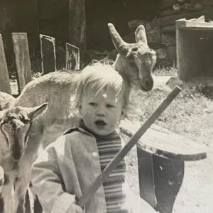 Goats