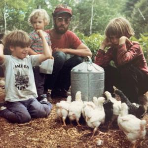 Chickens