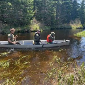 Marjorie May being paddled down McCaslin Stream in a canoe by Game Warden Chris Roy and Maine Guide William Altman. (Photo courtesy Maine Dept. of Inland Fisheries and Wildlife)