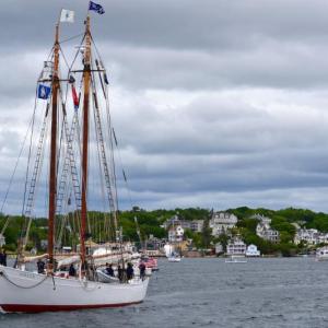The schooner Bowdoin leaves Boothbay Harbor. FRITZ FREUDENBERGER/Boothbay Register