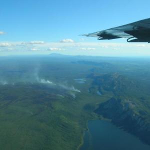 #bird-column, #jeff-and-allison-wells, #maine, #birds, #boothbay register, #boreal forest, #canadian wildfires