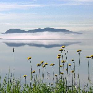 “Surry, Newburry Beach, View with Yellow Flowers” by Jim Kosinski. (Photo courtesy Kramer Gallery)