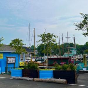 At the Camden Public Landing. (Photo courtesy Stewardship Education Alliance)