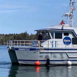 Bigelow scientists on the R/V Bowditch in local waters. Courtesy of Bigelow Laboratory