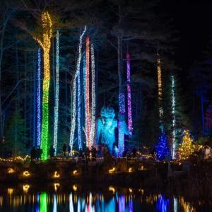 Garden’s Aglow returns Saturday, Nov. 18 for 2023! Courtesy of CMBG