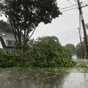 Chestnut Street, Camden, at approximately 7:30 a.m. (photo by Lynda Clancy)