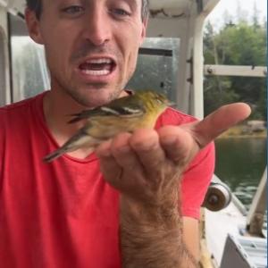 #bird-column, #hurricane-lee, #jeff and allison wells, #maine, #birds, #lobsterman, #boothbay register