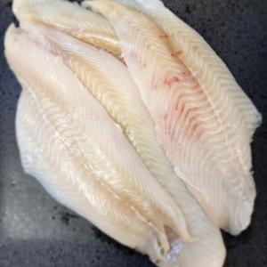 flounder