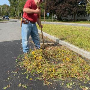Thomaston’s Conservation Commission’s Interim Chair, Lawrence Lentz, rakes up wildflowers removed from the Thomaston Mall in preparation for Winter. 2023 was the inaugural year for wildflower planting on the Mall. (Photo courtesy Lawrence Lentz)