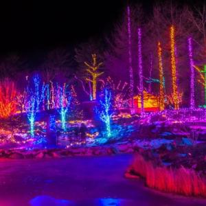 Open Restaurants, Garden’s Aglow