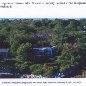 The Select Board packet for its Nov. 8 meeting contains documents and letters associated with the consent agreement. A letter from Lisa Gorman’s attorney includes a photo that depicts her harbor front property and dead trees. (Photo courtesy Town of Camden)