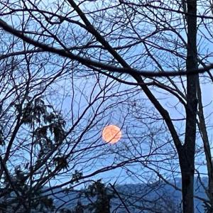 The moon sets over Lincolnville. (Photo by Arlene Jurewicz Leighton)