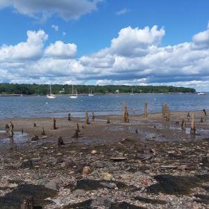 Beaches of Belfast (photo by Erica Thoms)