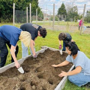 Middle school students planting the garden. (Photo courtesy of Lincolnville Central School)