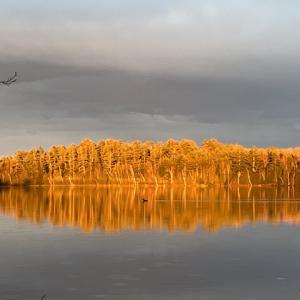 The anspenglow upon the trees along Coleman Pond. I learned today that “aspenglow” refers to the light of the sun- that has already set, or is not yet risen reflected off the clouds. So cool. (Photo by Liz Hand)