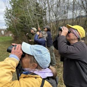 #bird-column, #boothbay register, #perham stream birding trail, #natural resources council of maine, #jeff and allison wells, #birds, #maine, #high peaks alliance, #birders