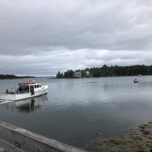 #bird-column, #boothbay register, #jeff and allison wells, #birds, #maine, #hog island, #osprey