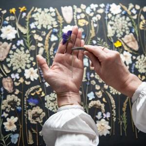 Forage and Press pressed floral. (Photo courtesy Rockland Makers Market)