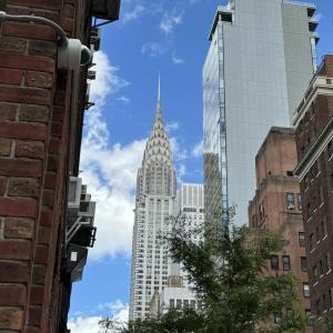 The authors spent some time in Midtown Manhattan where some of the birds made them think of home in Maine. Allison Wells photo
