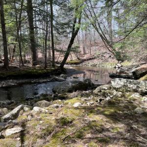 The Little River in Belfast, Maine. (Photo courtesy Little River Community Land Trust)