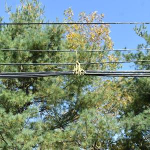 When members of the fire department also happen to work for the telephone company, the FD goes ahead and pulls some lines up and away from the action. (Photo by Sarah Thompson)
