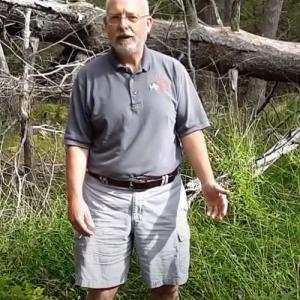Gary Fish with stiltgrass. (Photo courtesy Merryspring Nature Center)