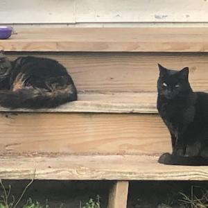 Social distancing? (Photo courtesy Carolyn Kanicki)