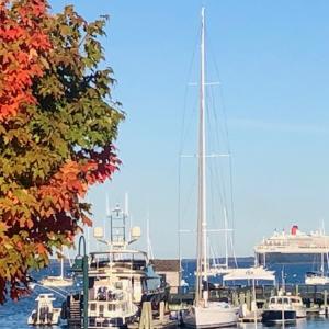 Rockland Harbor (Photo courtesy Carolyn Kanicki)