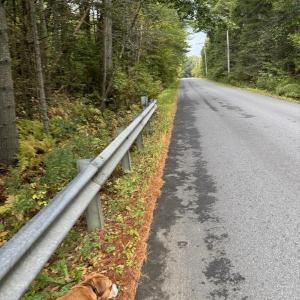 Canaan Road