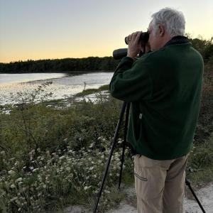 #bird-column, #shorebirds, #Wolfe’s Neck Center, #Freeport, #Maine, #Jeff and Allison Wells, #birds