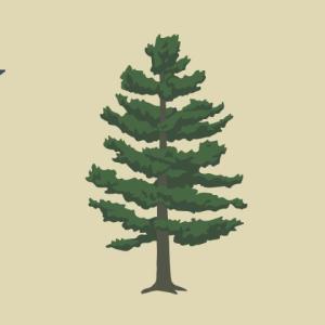 Question 5 on the Maine State Ballot appearing before voters Nov. 5 asks for approval of a new flag design created by Adam Lemire, of Gardiner. Question 5 on the Maine State Ballot appearing before voters Nov. 5 asks for approval of a new flag design created by Adam Lemire, of Gardiner.