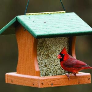 (Photo courtesy Mid-Coast Audubon)