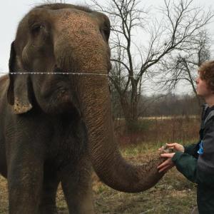 Henry Laurita greets Rosie in December 2014 (Photo by Lynda Clancy)