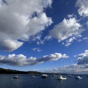 An Autumn morning at Lincolnville Beach (Photo by Tracee O’Brien) Harbor