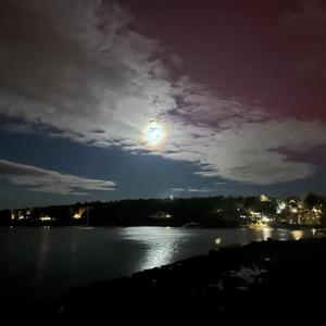 Over Camden Harbor (Photo by Jen Roberts)