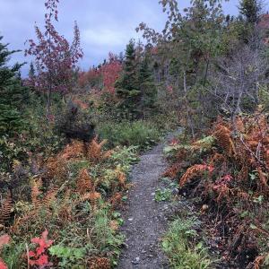 Nature trail