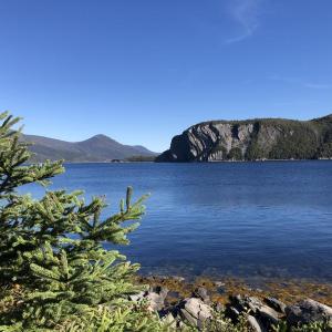 Bay