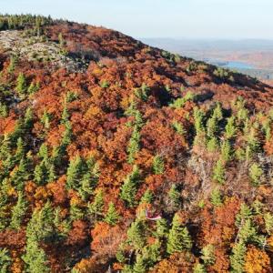 The paraglider landed in a tree on the upper slope of Bald Mountain, in Camden, Oct. 22. Drone shot by Todd Anderson