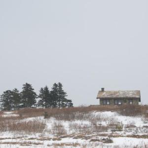Beech Hill in January. (Photo courtesy Coastal Mountains Land Trust)