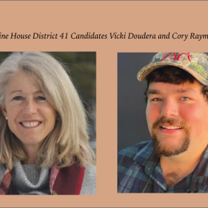 House District 41