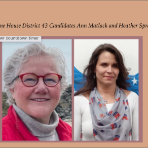 House district 43