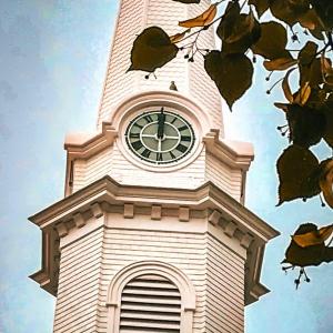 The Camden town clock with a peregrine falcon perched atop  (Photo courtesy Alison McKellar)