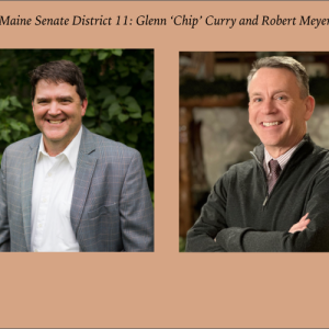 Maine Senate District 11
