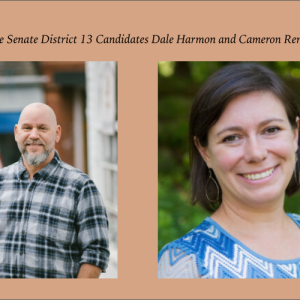 Senate District 13