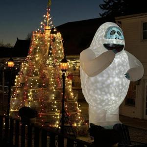 Bumbles Bounce! The Bumble is in the house!!