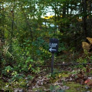 McLellan Poor Preserve. (Photo courtesy Coastal Mountains Land Trust)