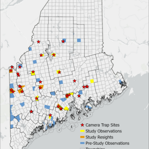 New sites and new sightings in 2024