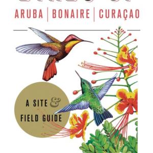 “Birds of Aruba, Bonaire, and Curaçao: A Site and Field Guide” as the title suggests, a book the authors produced bout birds and birding hotspots a long way from Maine: The islands of Aruba, Bonaire, and Curaçao lie just off the coast of Venezuela. Cornell University Presshttps://www.cornellpress.cornell.edu/book/9781501701078/birds-of-aruba-bonaire-and-curacao/. 