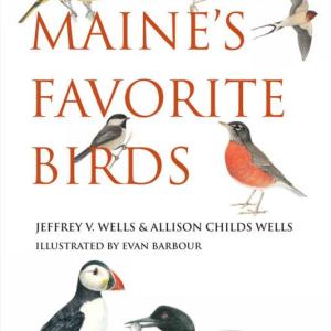 The authors created "Maine's Favorite Birds" for anyone with a passing interest in birds, a curious mind and loves to learn, or who loves beautiful and artful illustrations. Down East Books https://www.downeastbooks.com/9781684752119/maines-favorite-birds/. The authors created "Maine's Favorite Birds" for anyone with a passing interest in birds, a curious mind and loves to learn, or who loves beautiful and artful illustrations. Down East Books https://www.downeastbooks.com/9781684752119/maines-favorite-birds/.